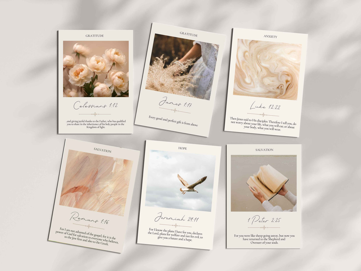 EDUCATIONAL & BIBLE STUDY CARDS